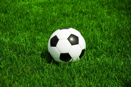 体球网即时比分新版主界面展示